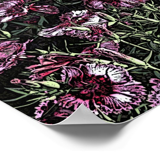 DIANTHUS POSTER (Ecke)
