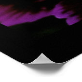 Dianthus Poster (Ecke)