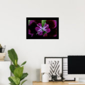 Dianthus Poster (Heimbüro)