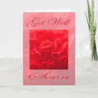 Dianthus Red Flower Get Well Soon