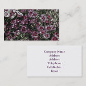 DIANTHUS VISITENKARTE (Vorne/Hinten)