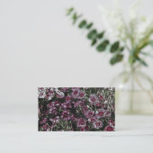 DIANTHUS VISITENKARTE (Stehend Vorderseite)