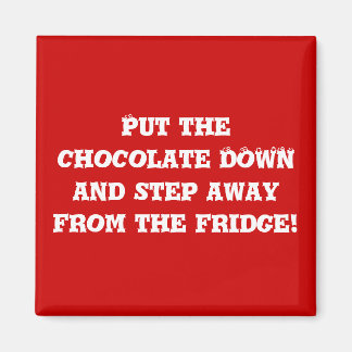 Diäthelfer #1 magnet