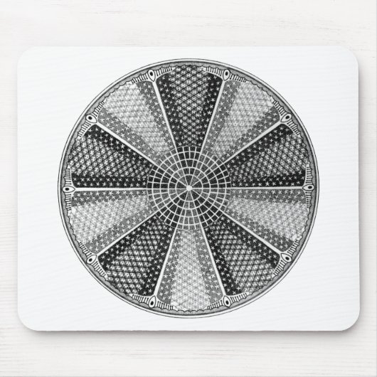 Diatom 13 Ernst Haeckel Fine Art Mousepad (Vorne)