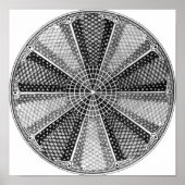 Diatom 13 Ernst Haeckel Fine Art Poster (Vorne)