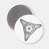 Diatom Magnet (Vorderseite/Rückseite)