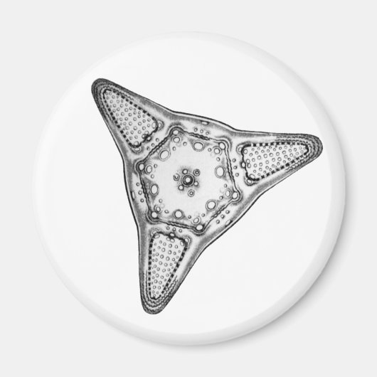 Diatom Magnet (Vorne)