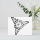 Diatom Postkarte (Stehend Vorderseite)