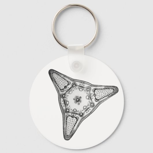 Diatom Schlüsselanhänger (Vorderseite)