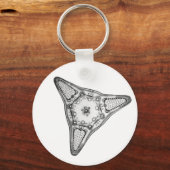 Diatom Schlüsselanhänger (Vorderseite)