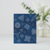 Diatome - mikroskopisches Meeresleben Postkarte (Stehend Vorderseite)