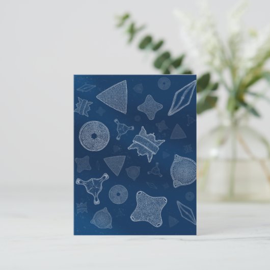 Diatome - mikroskopisches Meeresleben Postkarte (Stehend Vorderseite)