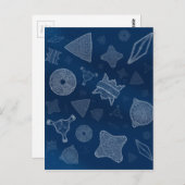 Diatome - mikroskopisches Meeresleben Postkarte (Vorne/Hinten)