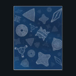 Diatome - mikroskopisches Meeresleben Postkarte<br><div class="desc">Anschauliche Illustrationen von Diatomen - der am häufigsten vorkommende Phytoplankton,  fotosynthetisiert Algen,  die riesige Blüten erzeugen und sowohl im Süßwasser- als auch im Meeresbereich vorkommen.</div>