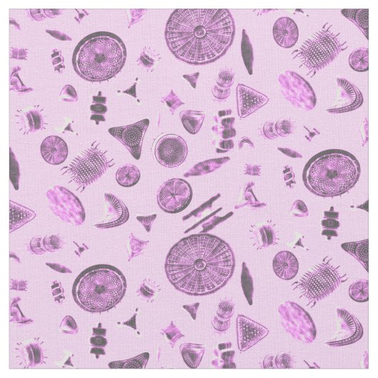 Diatome Pink Stoff (Nahaufnahme)