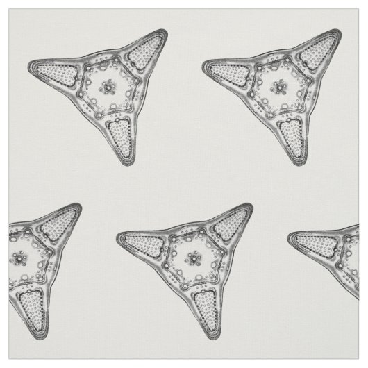 Diatomee Stoff (Muster)