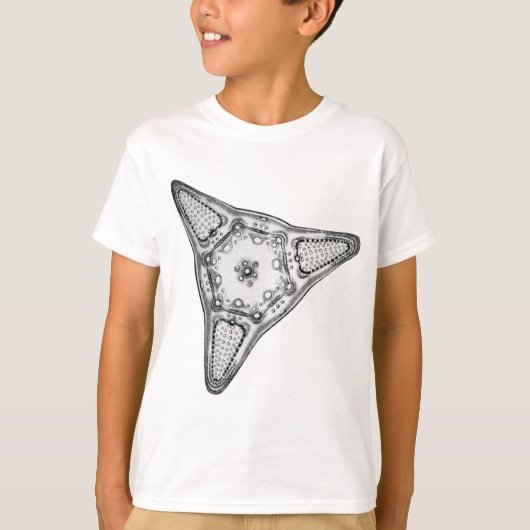 Diatomee T-Shirt (Vorderseite)