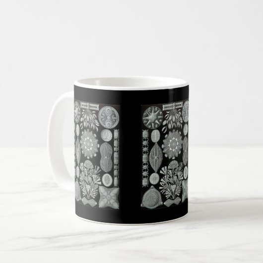Diatomeen Kaffeetasse (Vorderseite Links)