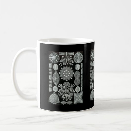Diatomeen Kaffeetasse (Links)