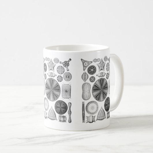 Diatomeen Kaffeetasse (VorderseiteRechts)