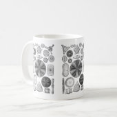 Diatomeen Kaffeetasse (Vorderseite Links)