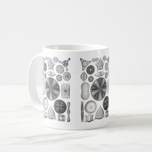 Diatomeen Kaffeetasse (Vorderseite Links)