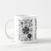 Diatomeen Kaffeetasse (Links)