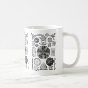 Diatomeen Kaffeetasse