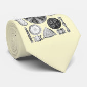 Diatomeen Krawatte (Gerollt)