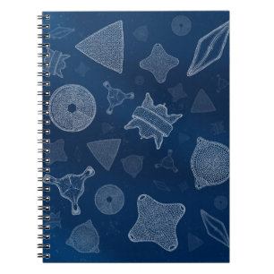 Diatomeen - mikroskopisches Seeleben Notizblock