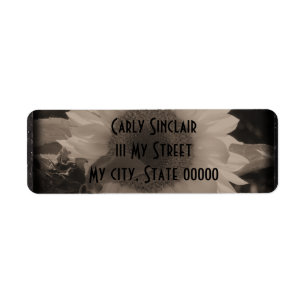 Diatrope Sonnenblume IV