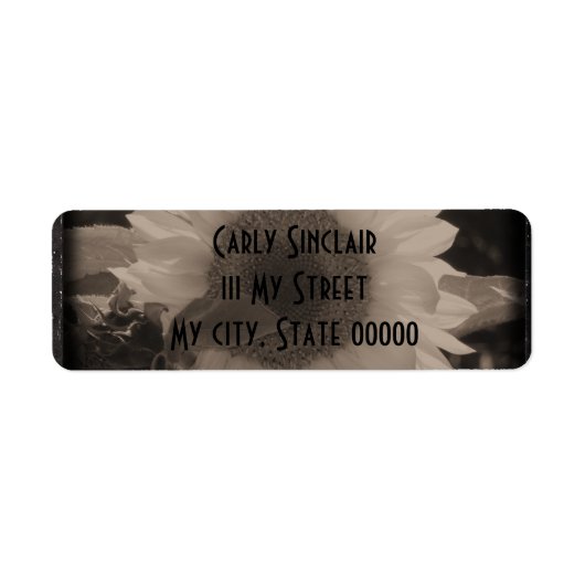 Diatrope Sonnenblume IV (Vorne)