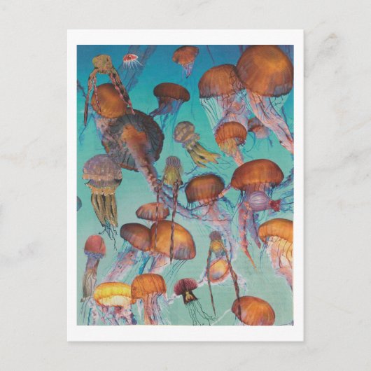 Dibble_Artworks_126_Jellies Postkarte (Vorderseite)
