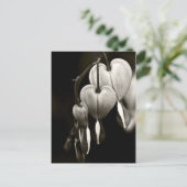 Dicentra - Blutungen Herz Kunst Postkarte (B&W) (Stehend Vorderseite)