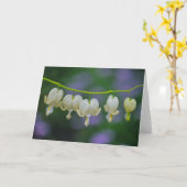 Dicentra-Gruß-Karte Karte (Gelbe Blume)