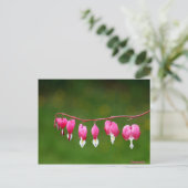 Dicentra - rosa Herzform florale Postkarte (Stehend Vorderseite)