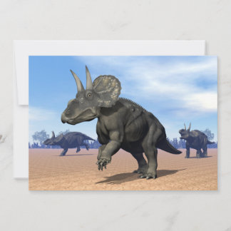 Diceratops/nedoceratops Dinosaurier in der Wüste