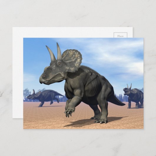 Diceratops/nedoceratops Dinosaurier in der Wüste Postkarte (Vorne/Hinten)