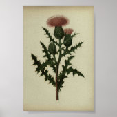 Dick from Blume and Ferns of America Poster (Vorne)