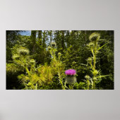 Dick, Poster (Vorne)