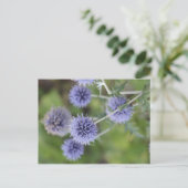 Dick - Stehend aus der Menge heraus Postkarte (Stehend Vorderseite)