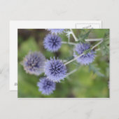 Dick - Stehend aus der Menge heraus Postkarte (Vorne/Hinten)