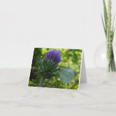 Dick- und Moth-Note-Karte Karte (Vorderseite)