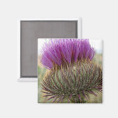 Dick und Spider Magnet (Vorderseite/Rückseite)