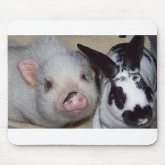 Dickbauch-Schwein u. Freund Mousepad (Vorne)