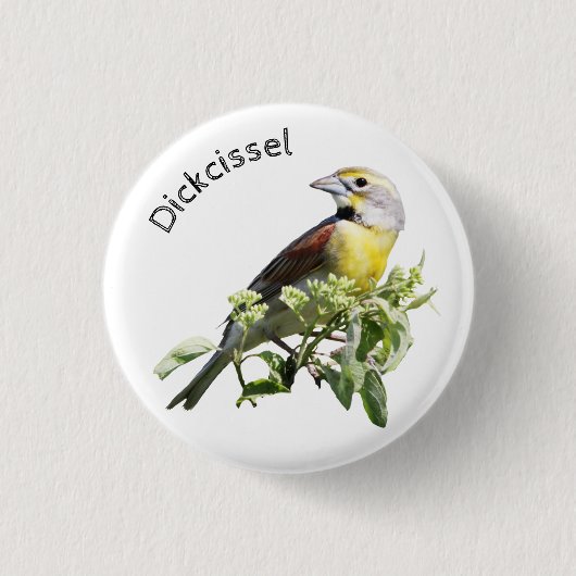 Dickcissel Bird Button (Vorderseite)