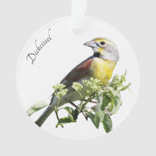 Dickcissel Bird Ornament