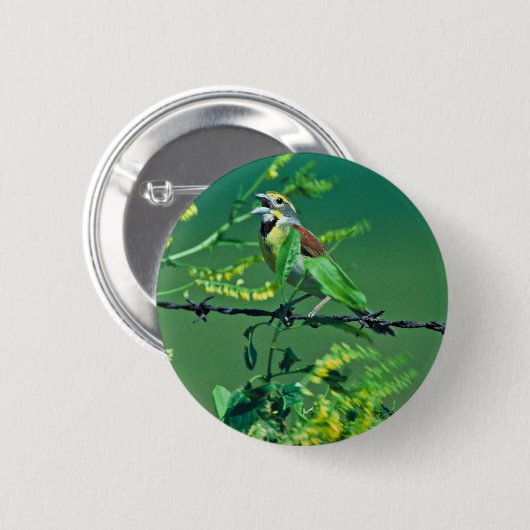 Dickcissel Button (Vorne & Hinten)