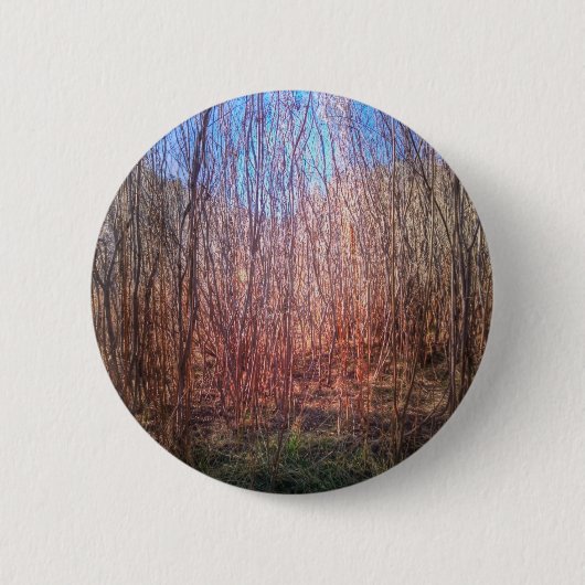 Dicke Button (Vorderseite)