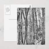 Dicke Postkarte (Vorne/Hinten)